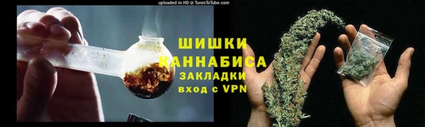 бошки Белокуриха